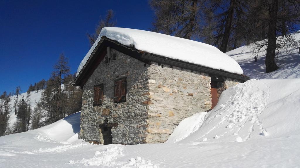 A quaint stone chalet is nestled in a snowy landscape, surrounded by tall trees. The structure features a sloped roof coated in thick snow. Two windows with wooden shutters are visible, contrasting against the stone walls. Footsteps lead from the foreground towards the chalet.