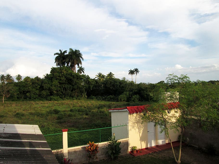 Alrededores