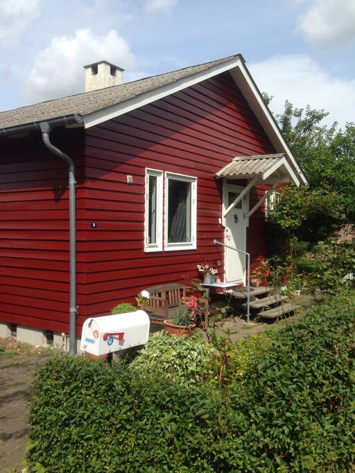 Den nuværende farve