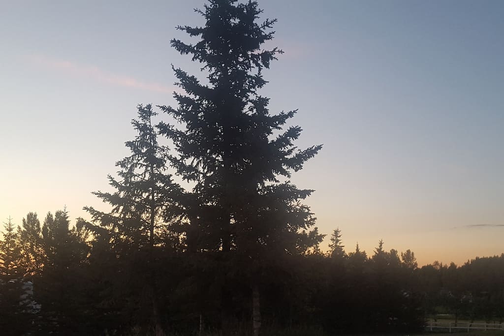SUNSET AT "MY ACREAGE"