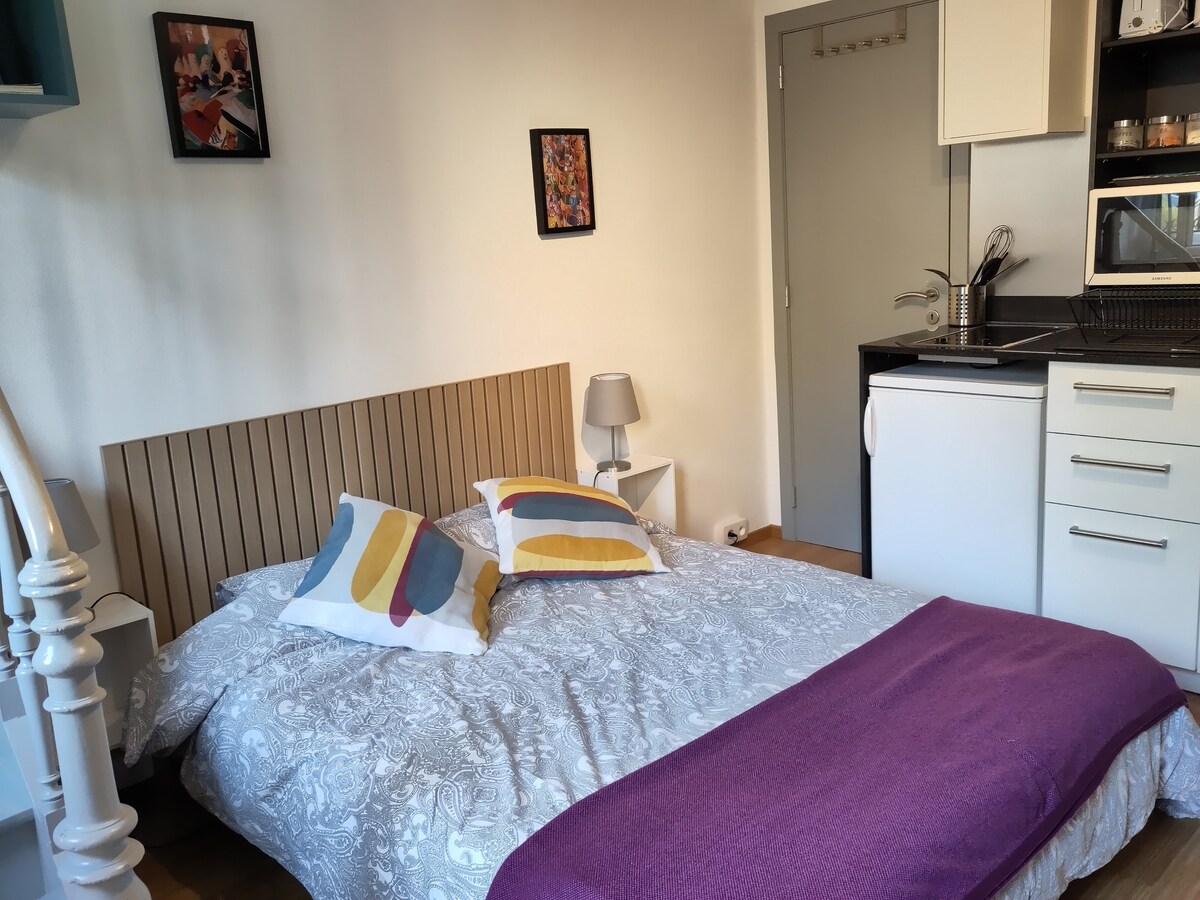 A cozy studio space features a spacious bed adorned with decorative cushions and a soft purple throw. A kitchenette is visible in the background, equipped with modern appliances. Framed artwork decorates the walls, adding color to the neutral palette.