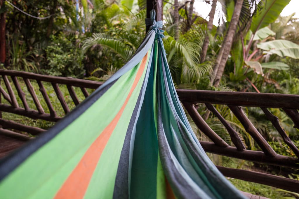 Relax on our hammack, while enjoying the wildlife