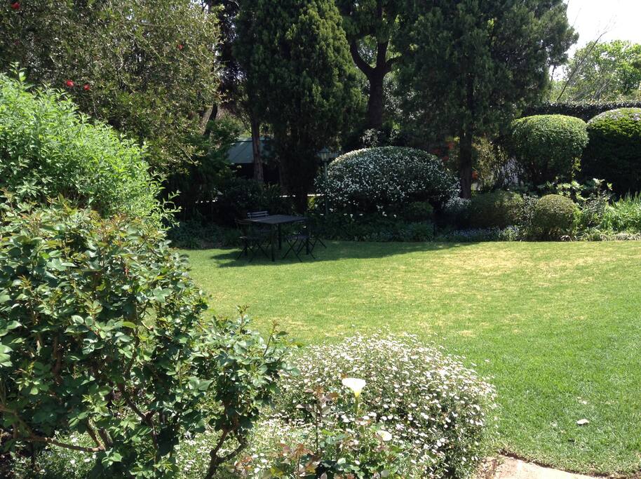 View from The Garden Room