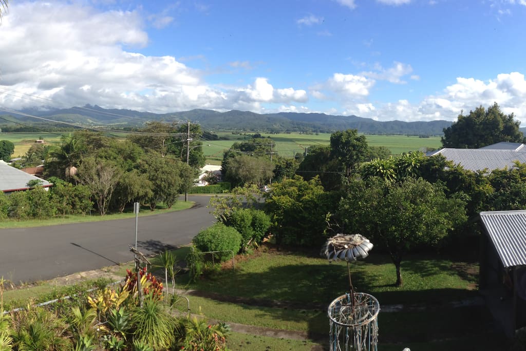 North views of the Border Ranges