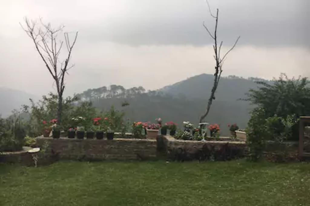 View from the Home