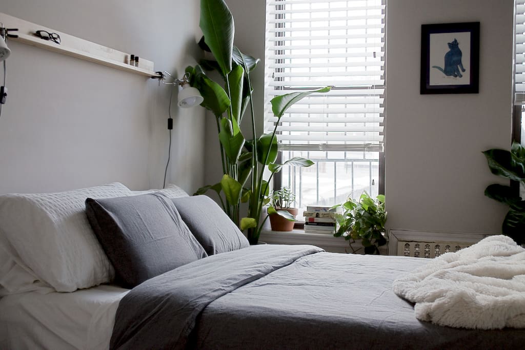 Bright, clean, comfortable