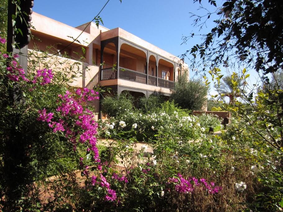 Patio garden at Villa Warda in Marrakech