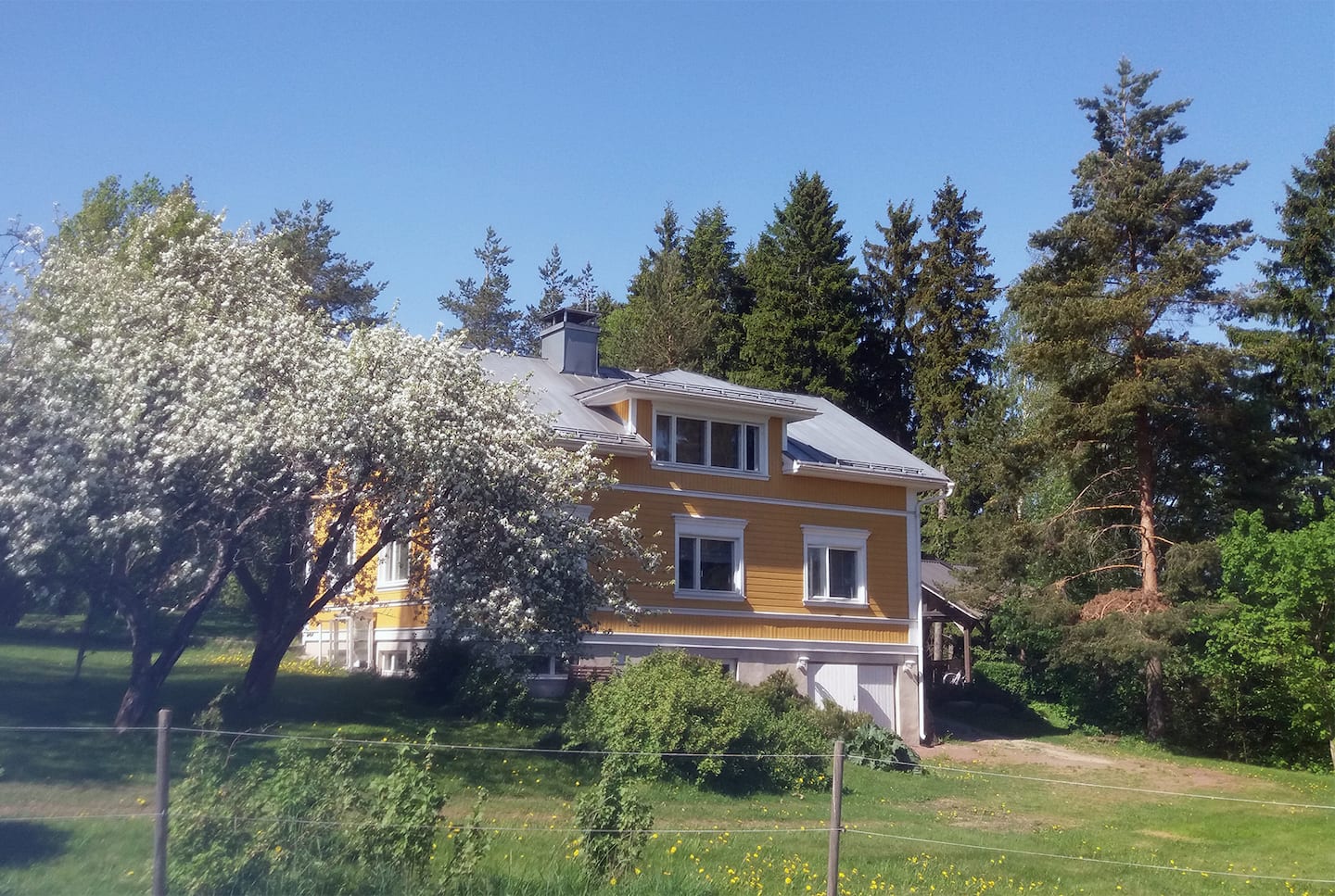 Nice, Spacious House With Big Yard/garden 2