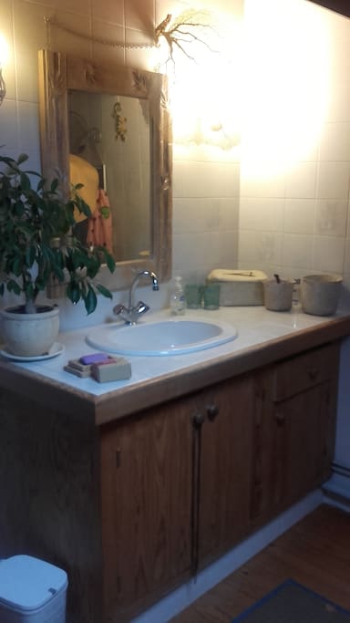 La salle de bain (douche et WC non visibles sur la photo mais bien présents)