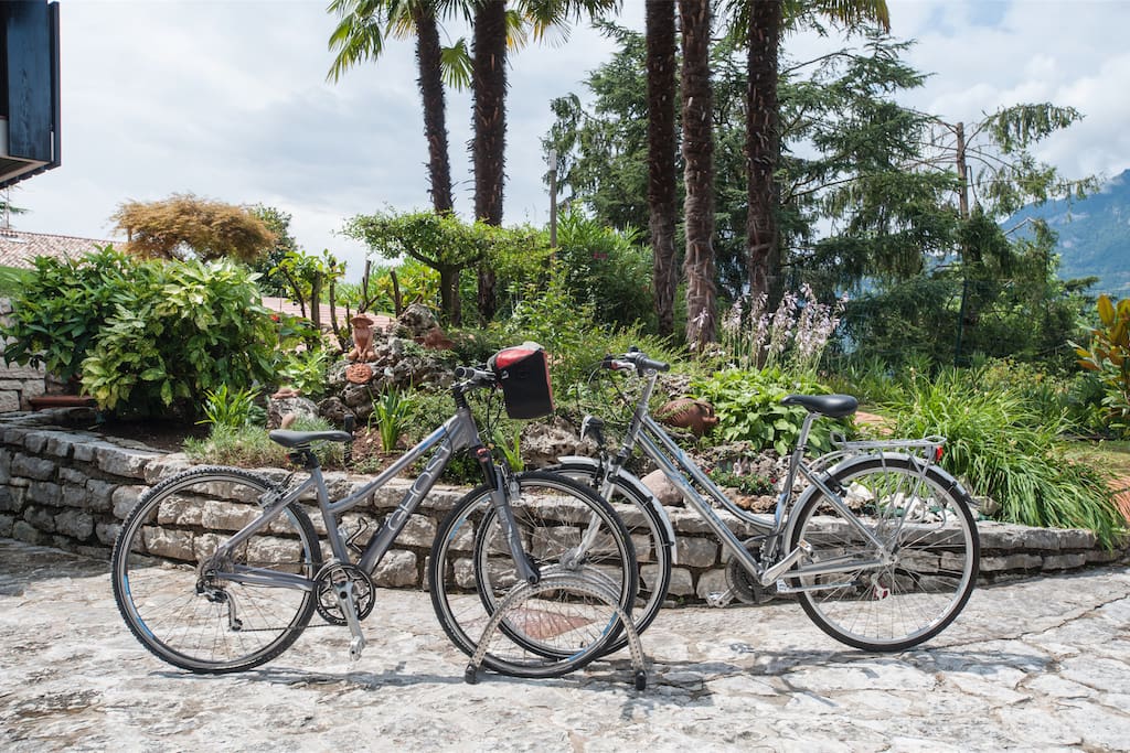 free bicycles for every guests