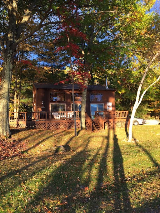 Fall season sunlight.