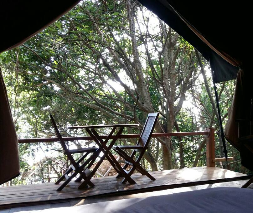 Set in nature..