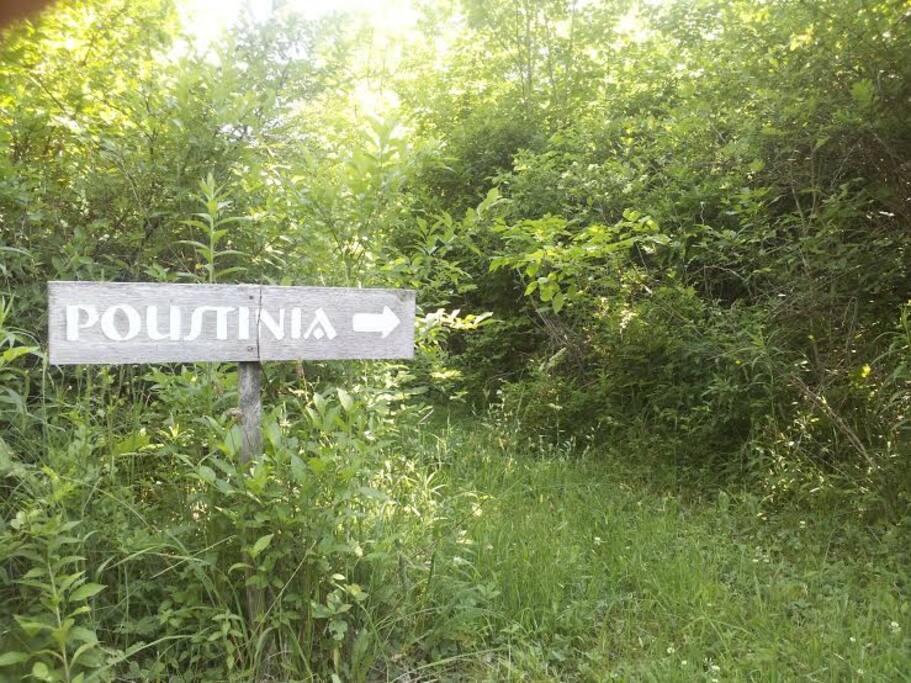 path to cabin
