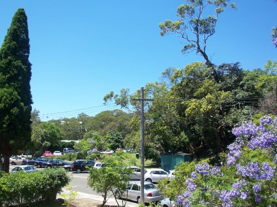 View from the balcony