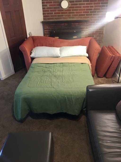 Living Room Pull Out Couch for 1 Adult or 2 Children.