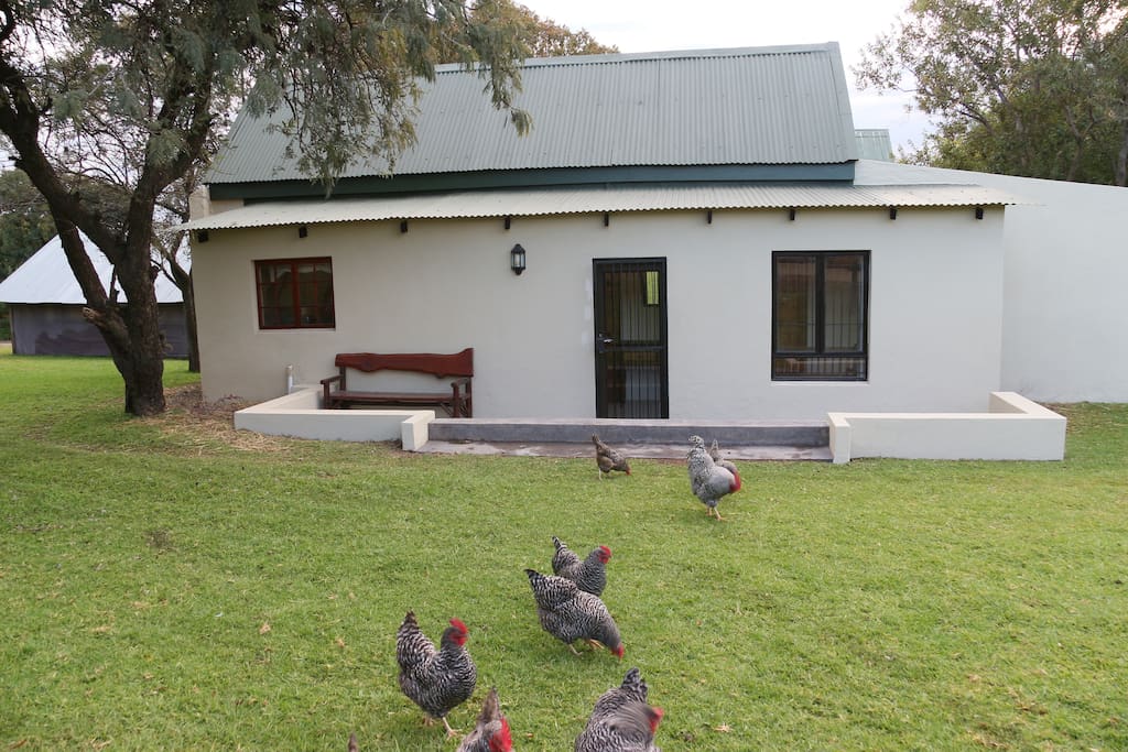 Cottage front