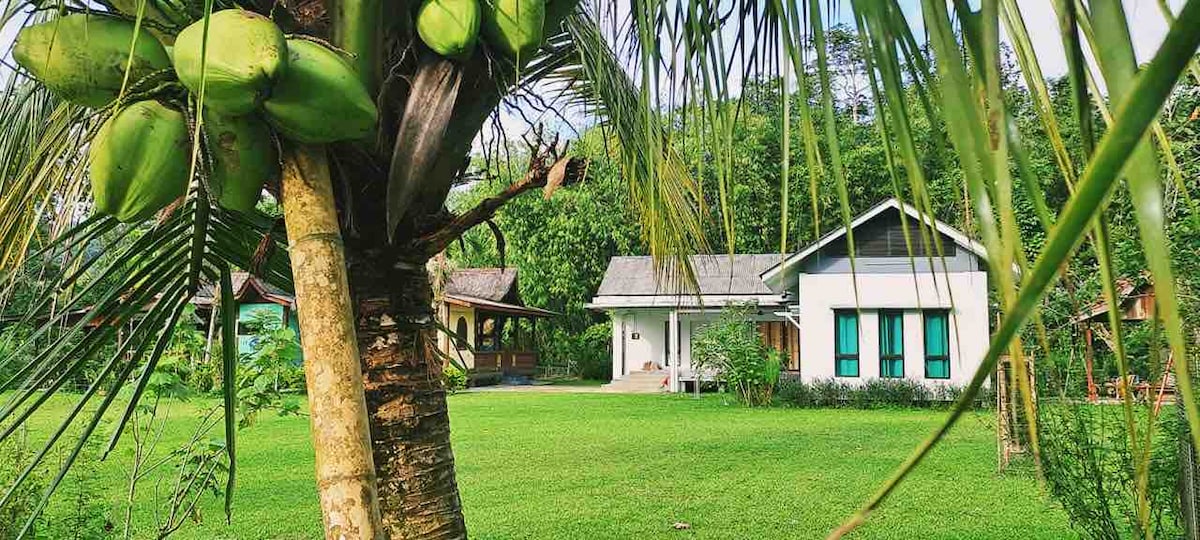 A spacious green lawn is framed by tall palm trees, showcasing two distinct villas nestled among the greenery. One villa features large windows with green shutters, while the other has a rustic design with a sloped roof, promoting a harmonious nature-centric atmosphere.