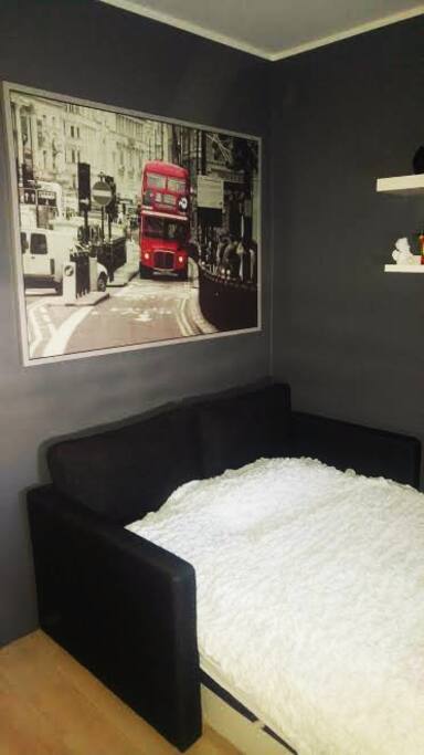 A bedroom with a very good sofa bed