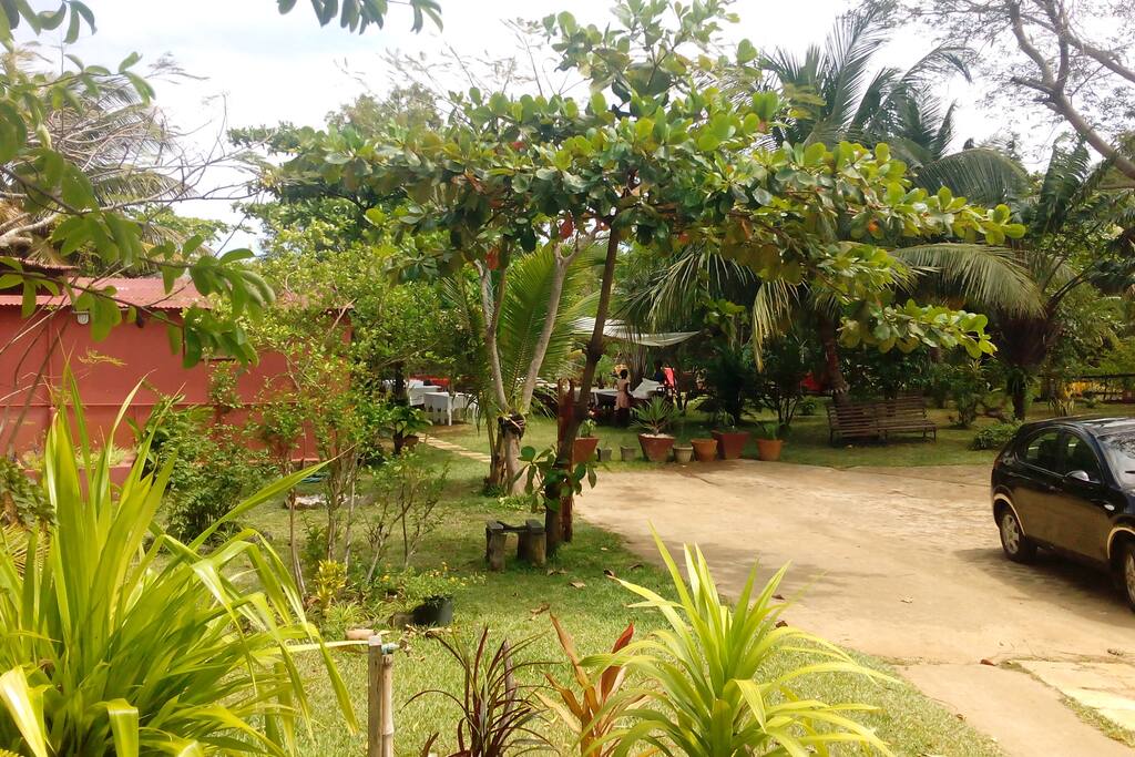 jardin tropikaly