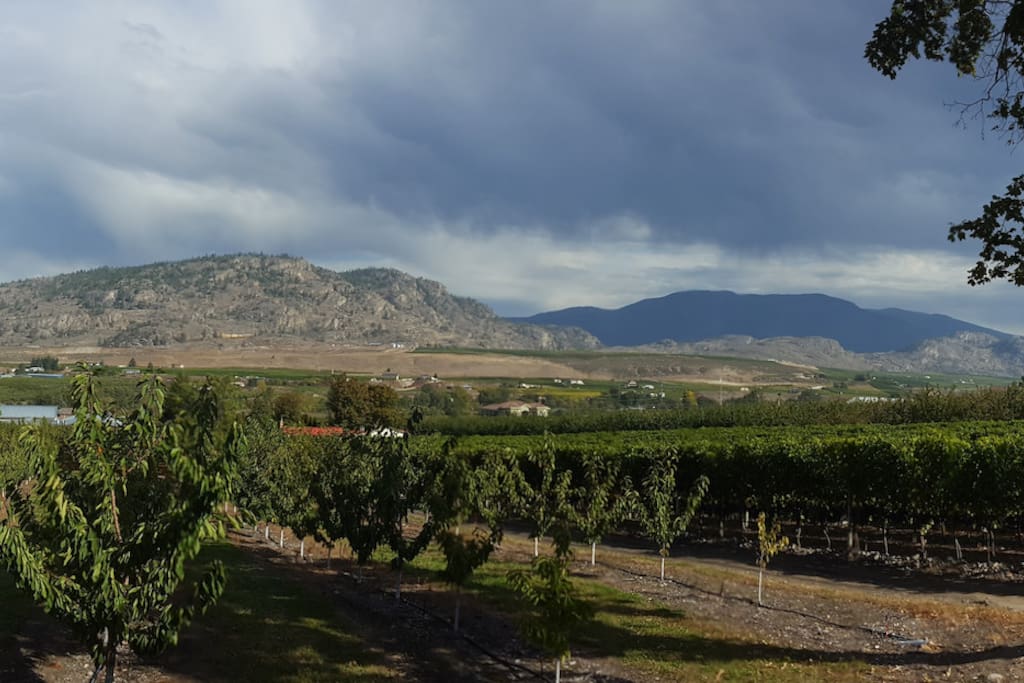 On a clear day you can see forever. The house is surrounded by cherry orchard on 3 sides at the intersection of 2 gravel roads, minutes from the highway.