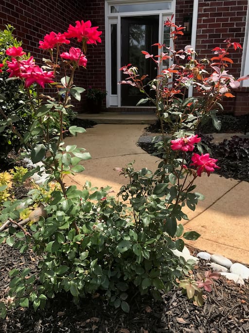 front door