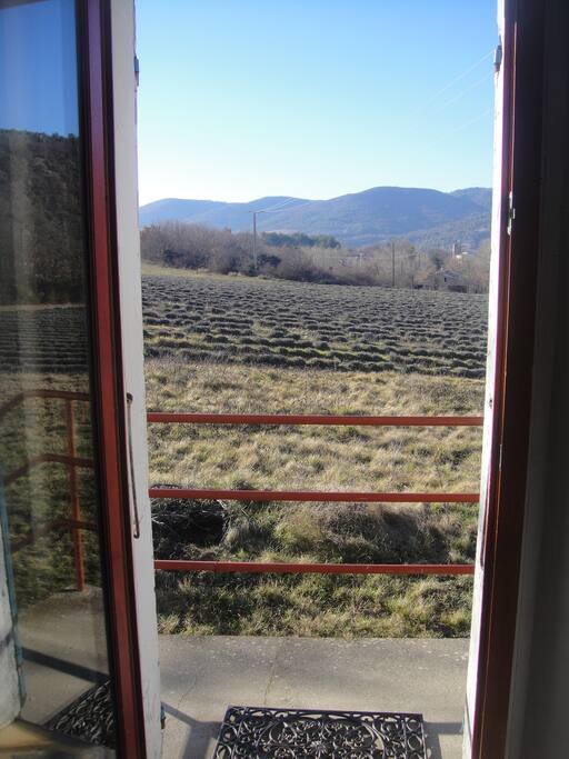 Vue de la porte d'entrée du gîte sur champs de lavande. (hiver)
