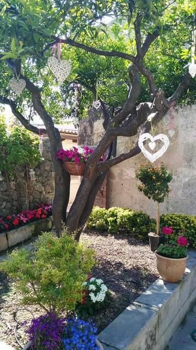 GARDEN