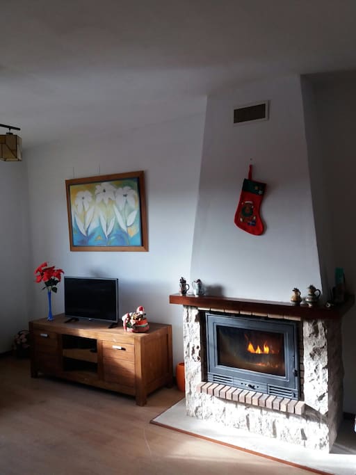 Salon-Comedor con chimenea