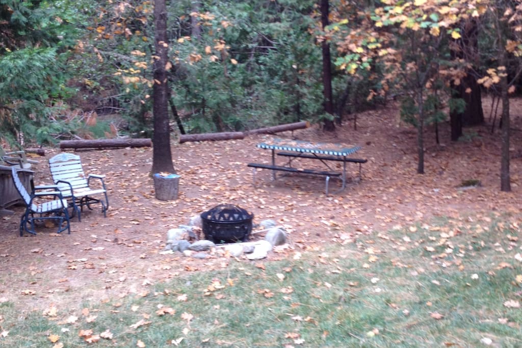 Backyard campfire area. Creek is just behind picnic table (about a 6 feet drop off to creek)