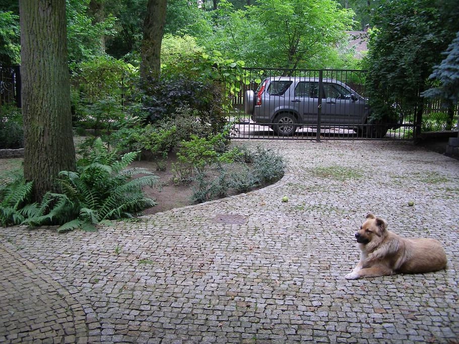 garden - common areas