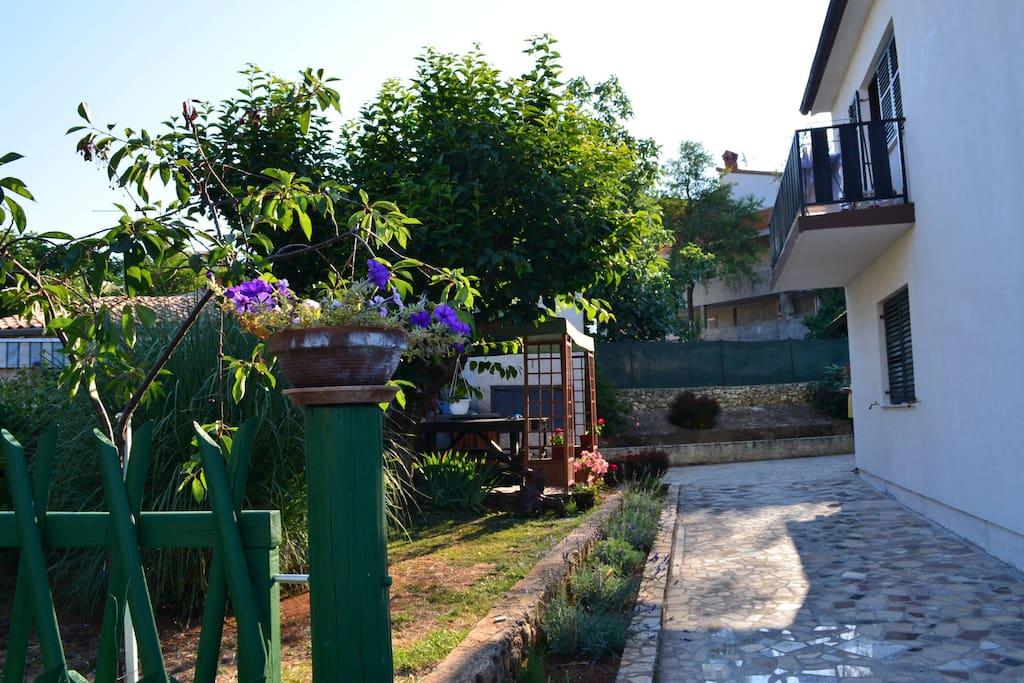 House,garden, garden terrace...