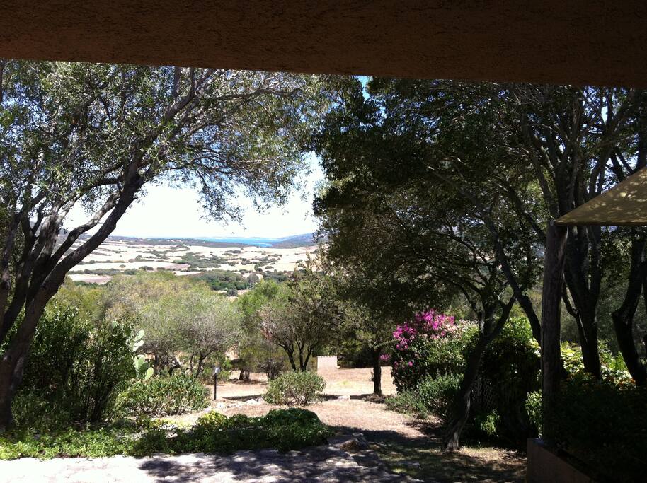 vista est dalla terrazza soggiorno