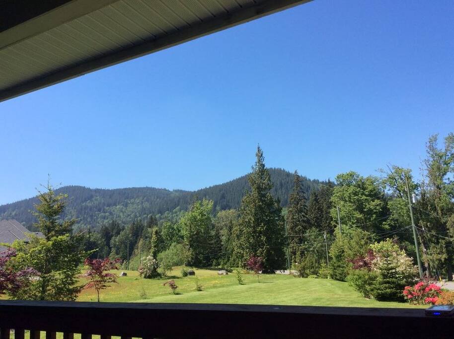 Surrounding hills
