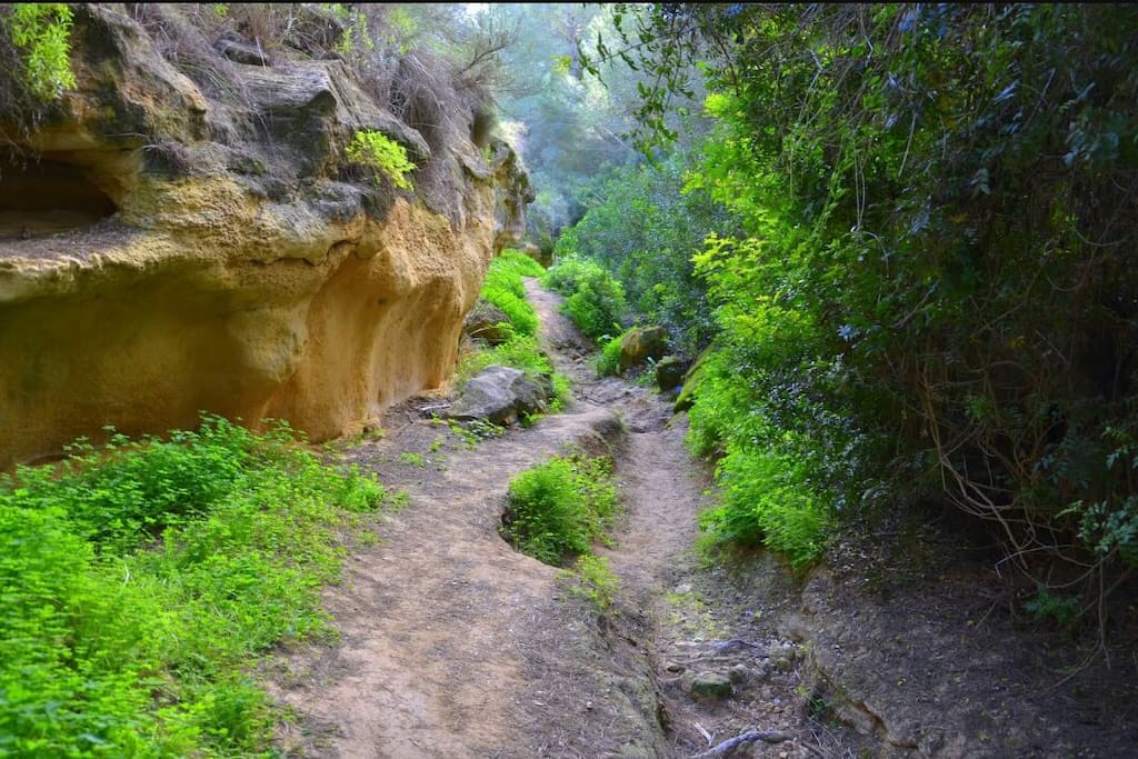 Ruta de senderismo Río Seco