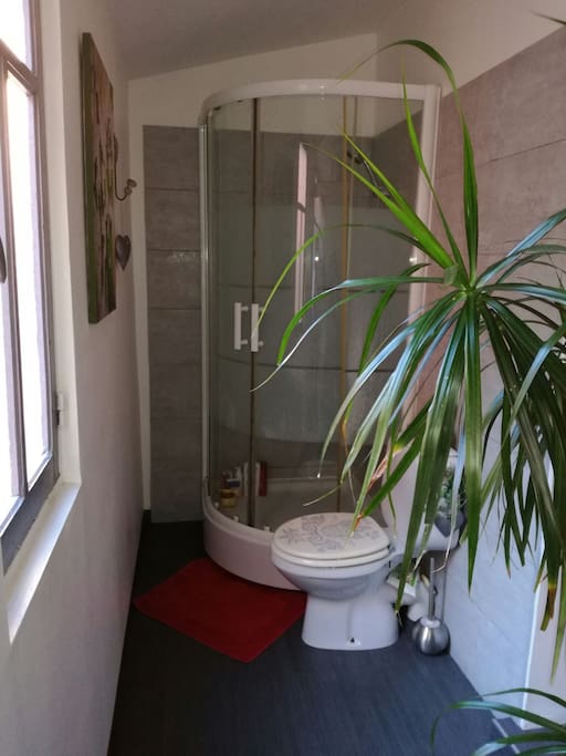 Salle d'eau