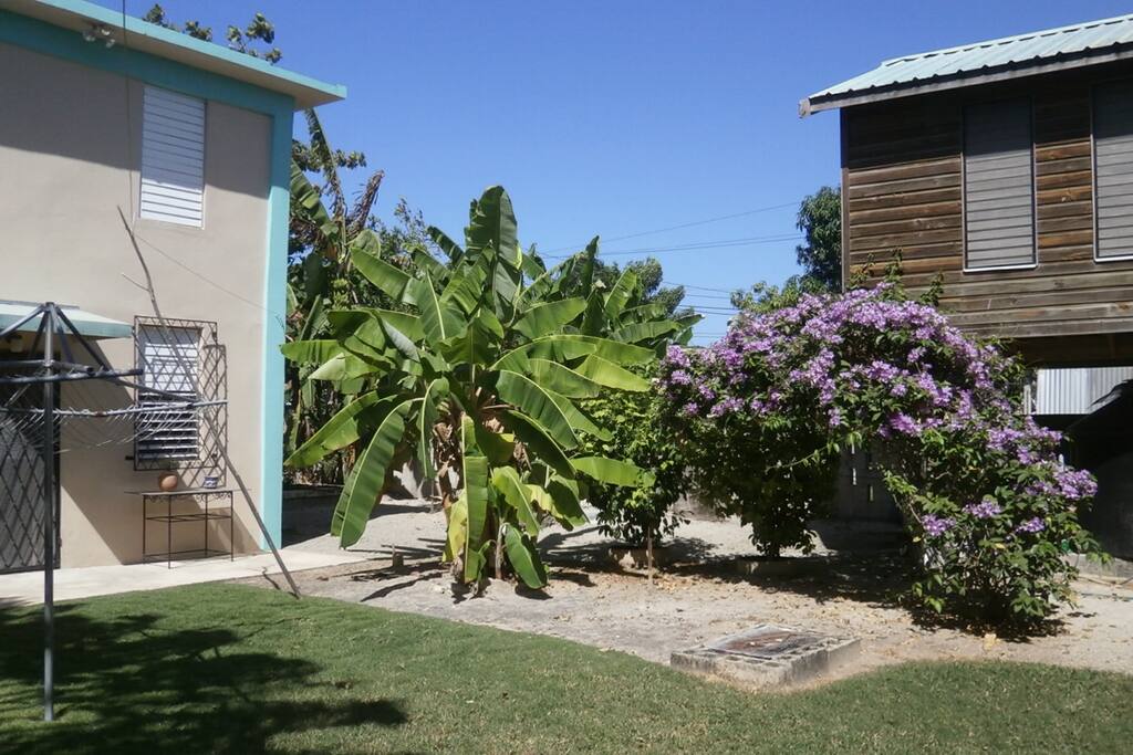 Yard space