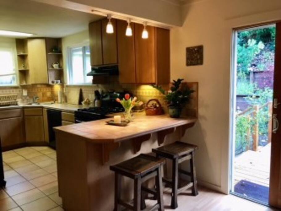 Kitchen opening to backyard