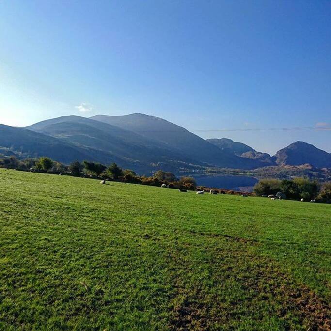 Local views