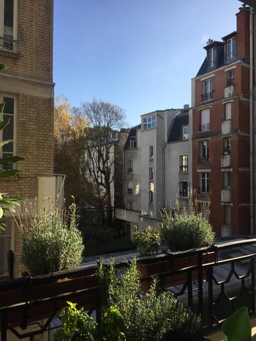 Vue dégagée