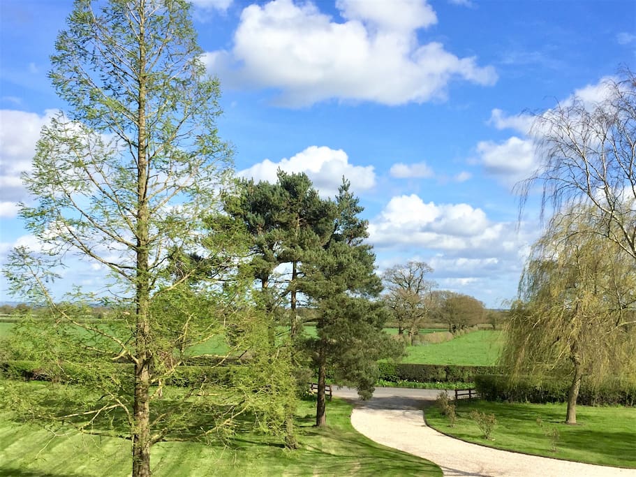 Drive into Withy Meadow