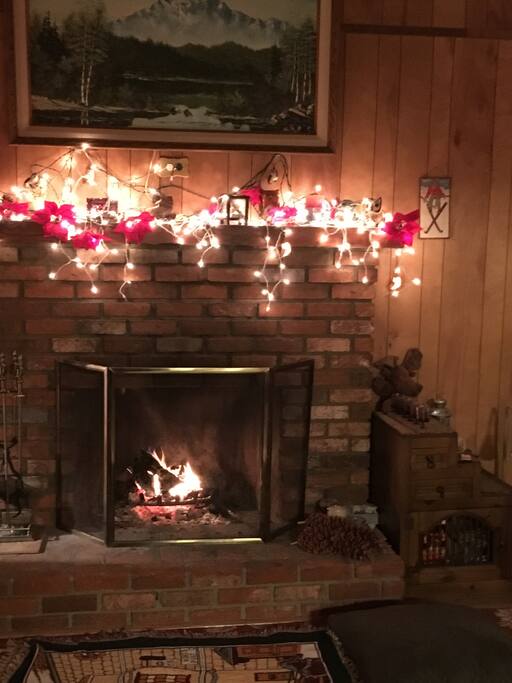 Fireplace in the living room