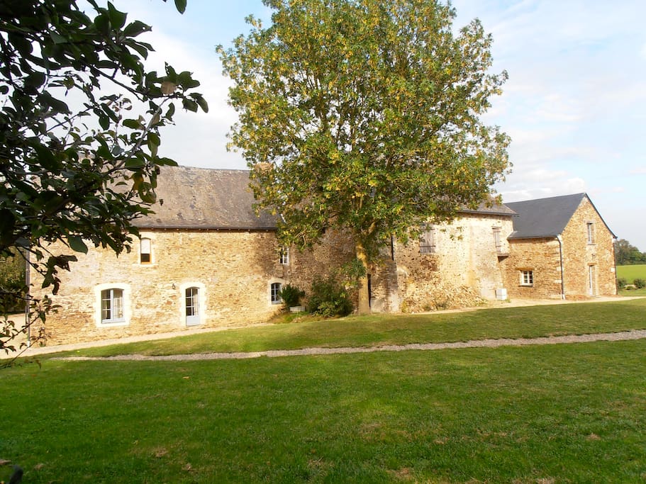 Picture 2: Back of the house