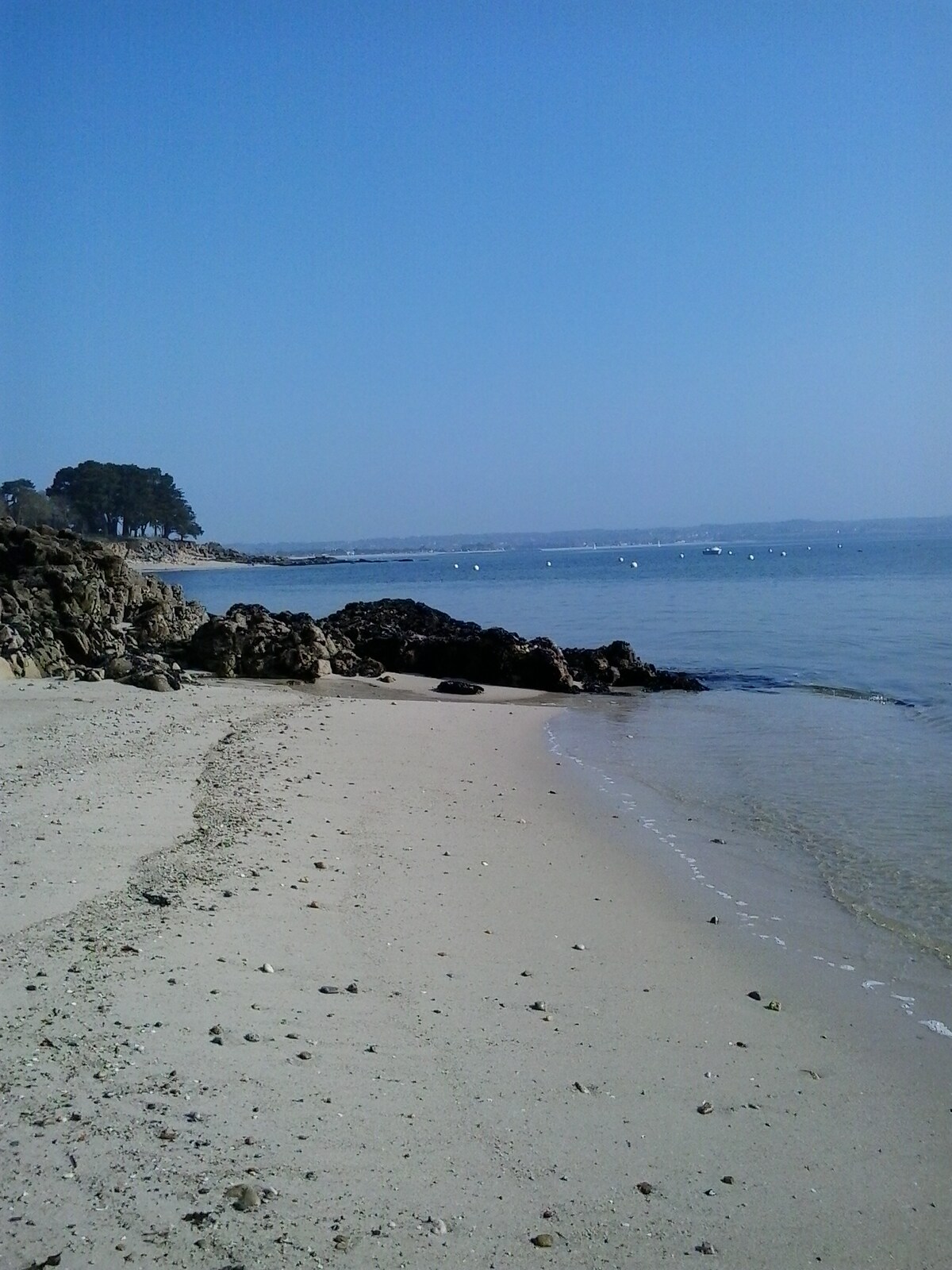 A tranquil beach scene is depicted, featuring soft sandy shores blending into calm blue waters. Smooth rocks are scattered along the shoreline, with gentle waves lapping softly at the sand. The background showcases a clear blue sky and distant trees along the coast.