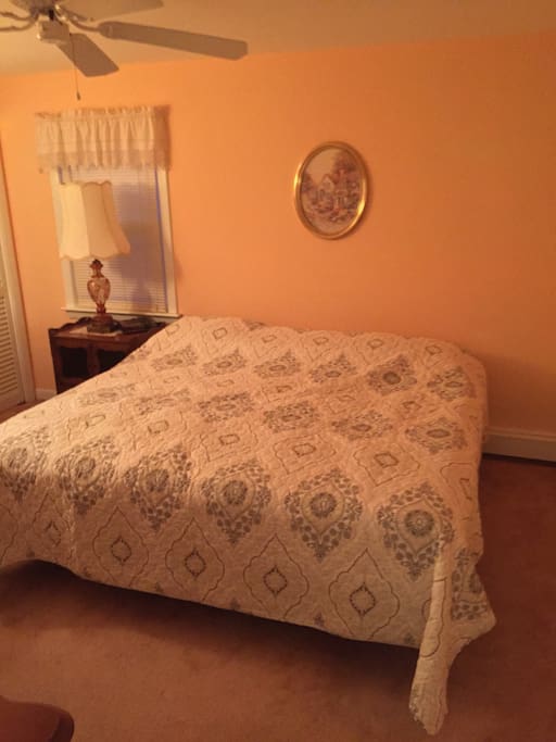 Master bedroom with king bed