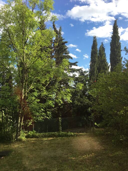 jardin