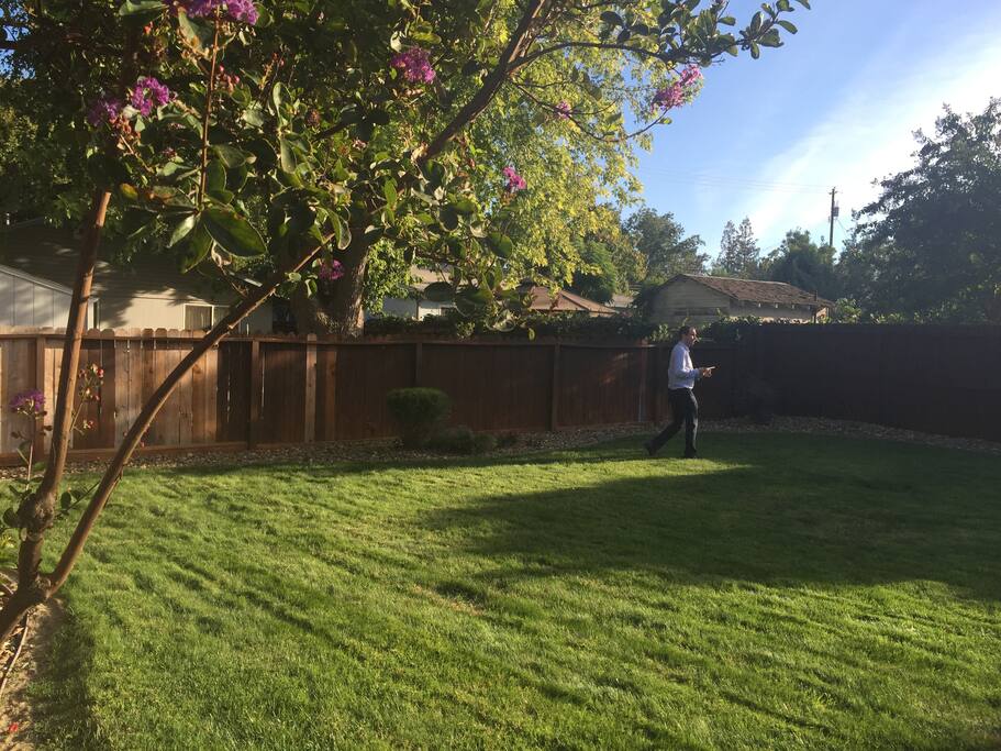 huge backyard