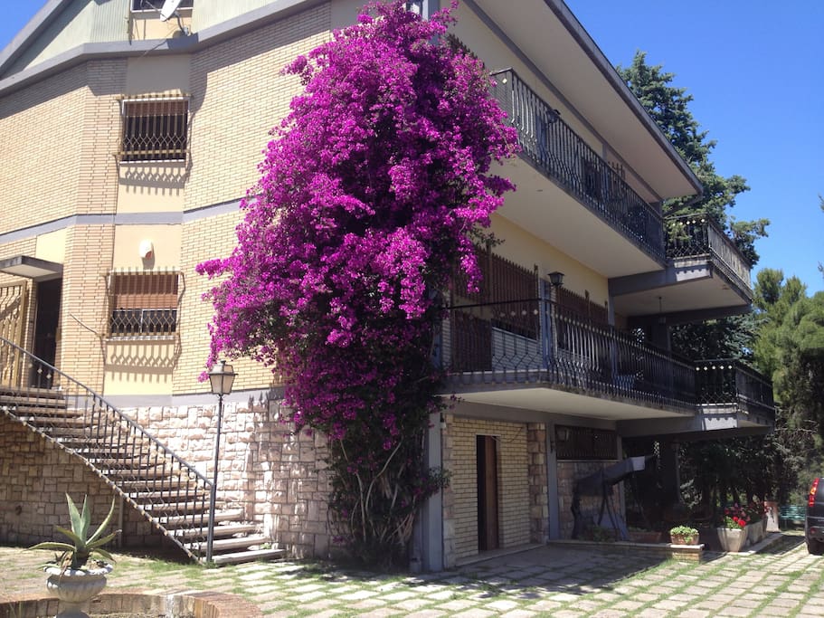 la scalinata d'ingresso
