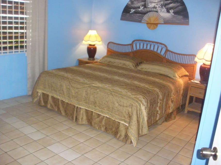 Private Bedroom, King bed, shared bath