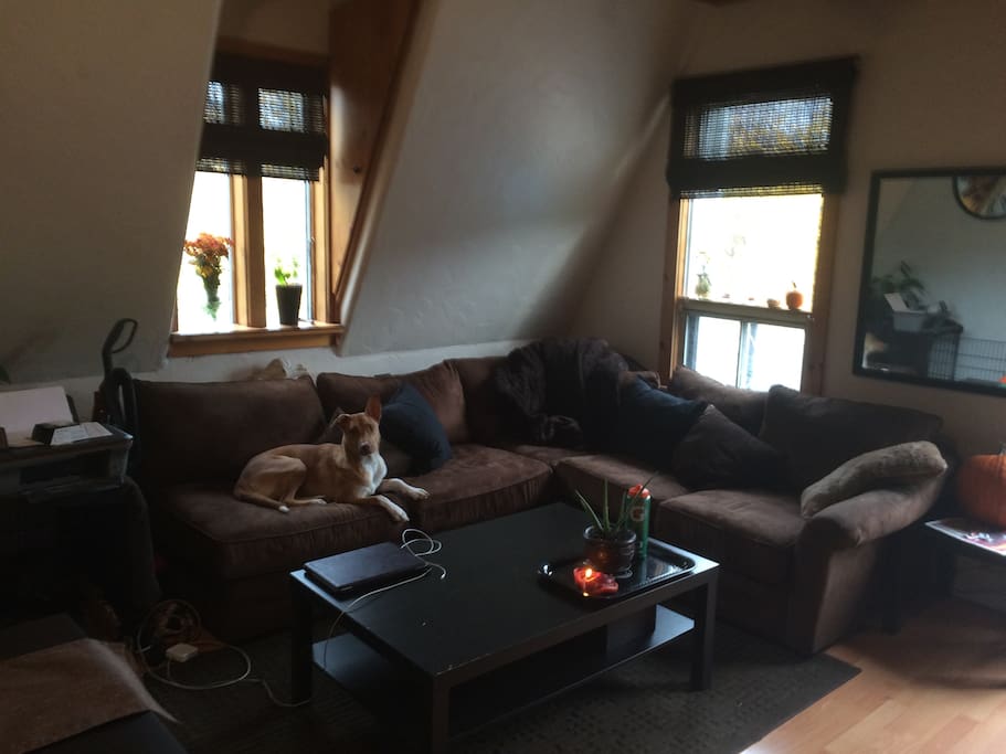 Cozy sectional in well-light living room can offer extra sleeping room.