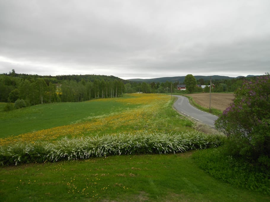 Utsikten från boendet.